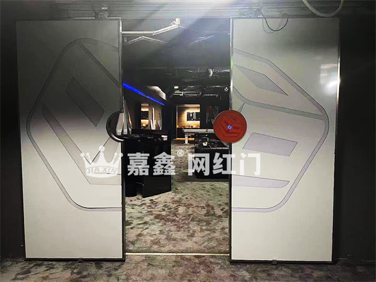 【网红门】网红门定制，网红门生产厂家，掌纹网红门*